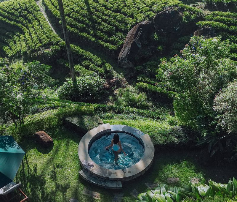 Ceylon Tea Trails