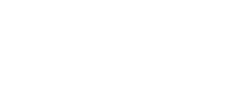 Exemplary Voyages