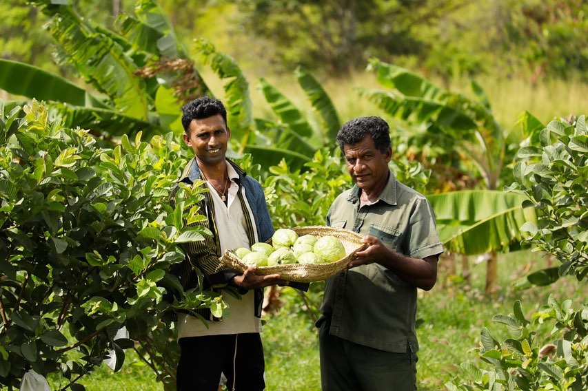 Organic farm at Jetwing Vil Uyana