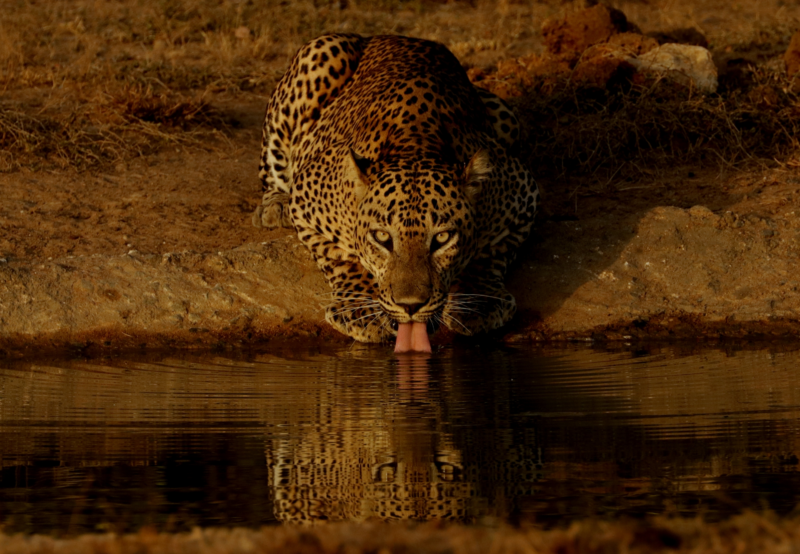 Sri Lanka