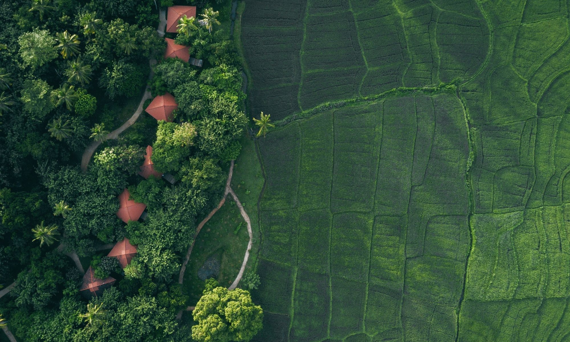 Travel That Gives Back