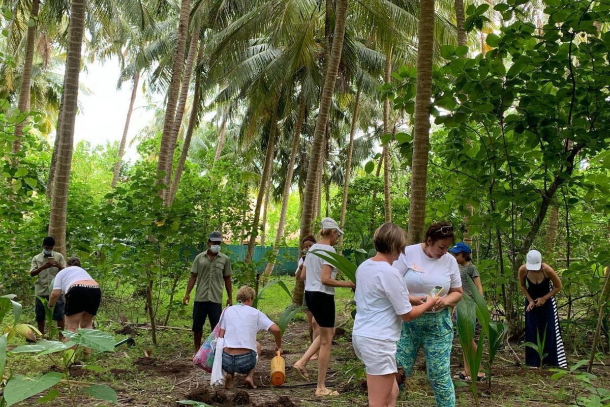 Tree Planting Project