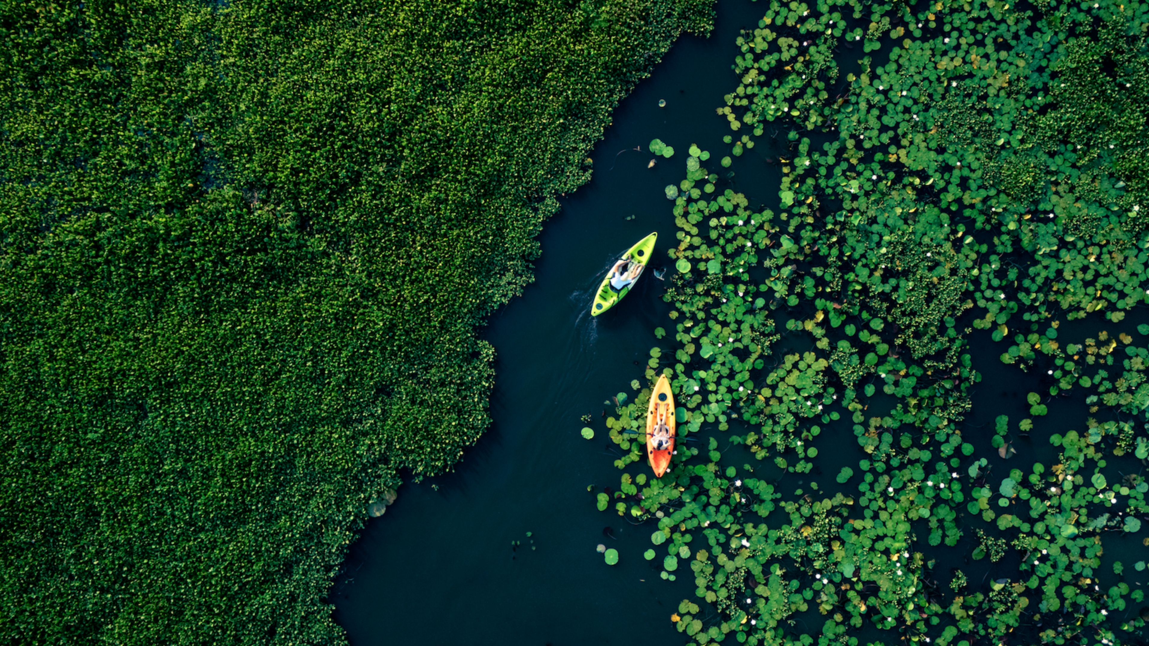 Wellness journeys through Sri Lanka and the Maldives