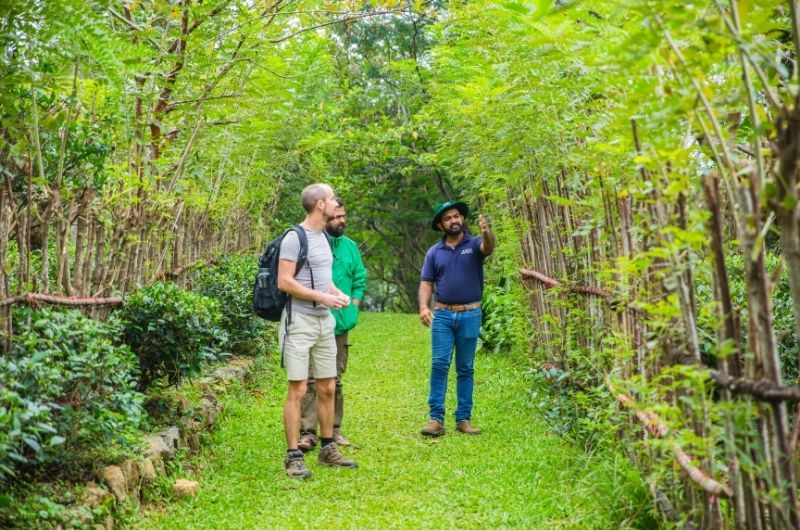 Estate Tour and Tea