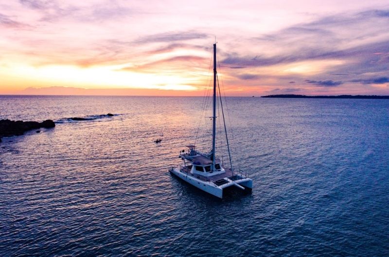 Private Cruise for Whale and Dolphin Watching